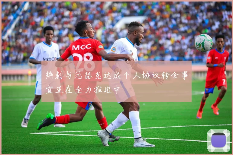 热刺与范赫克达成个人协议转会事宜正在全力推进中