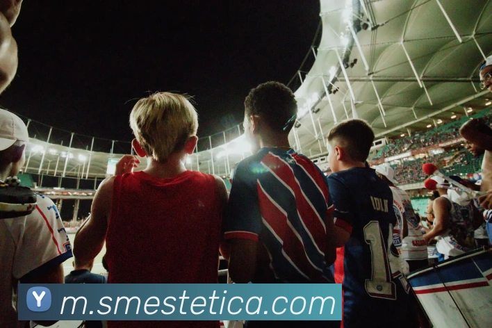 奖项证书